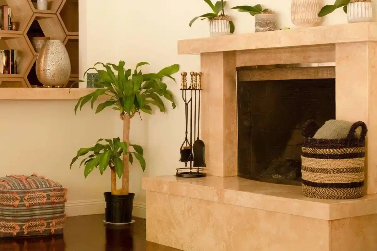 jidui8inmhlcwbwvqgbk