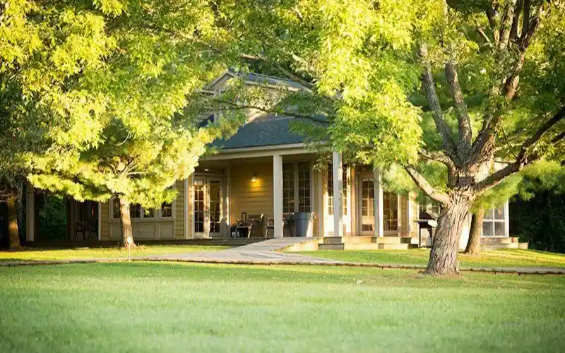 pz1owzua8vme4odlgz4k