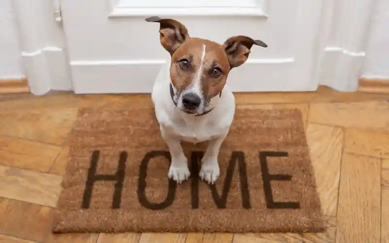 tskfpq0bgooa3ks7ywws