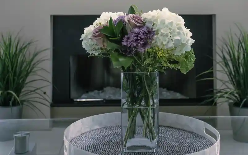 uo2i2vucjnssi7xqa2ib